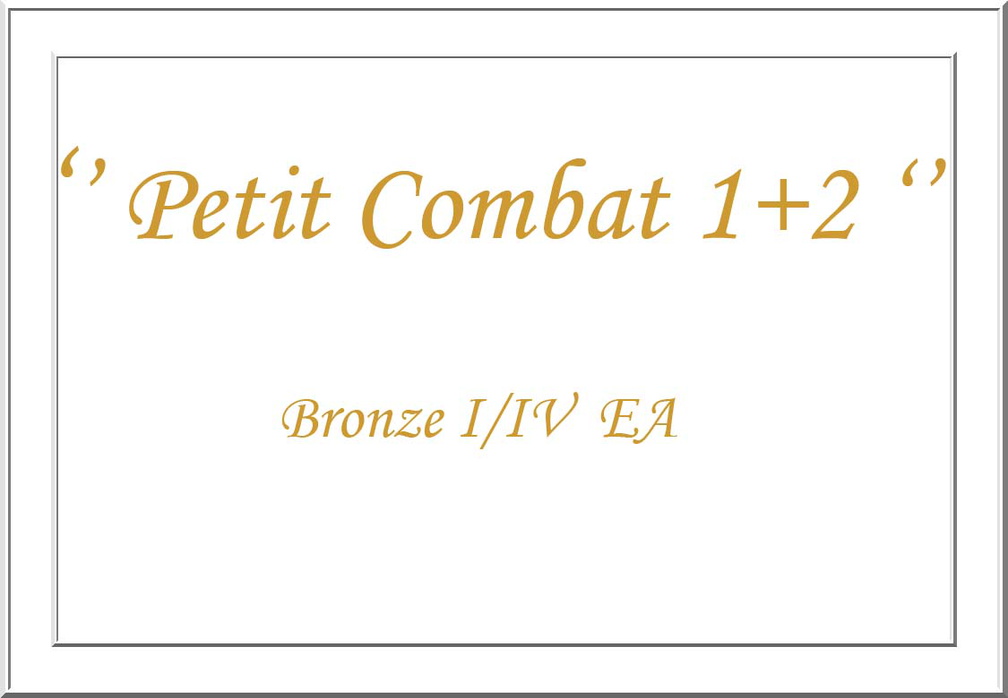 Petit_Combat_1_2.jpg