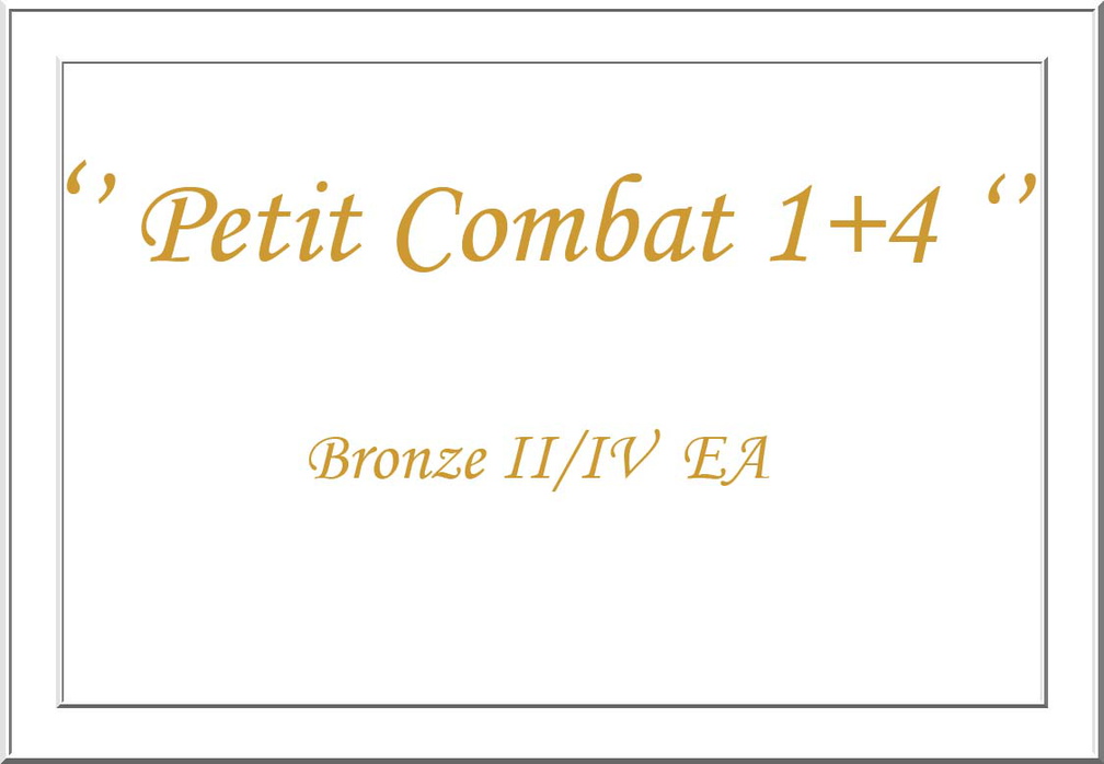 Petit_Combat_1_4.jpg