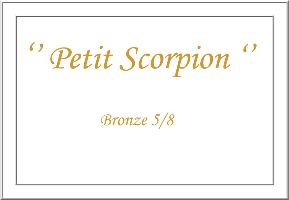 Petit_Scorpion_.jpg