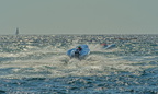  DSC5841