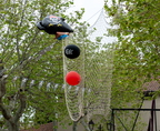  D708704
